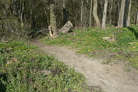 Access along the London Road