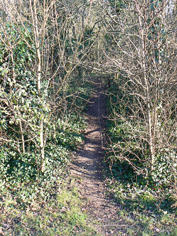 Access near the London Road