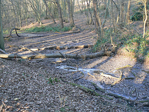Streamlet flowing into Pond